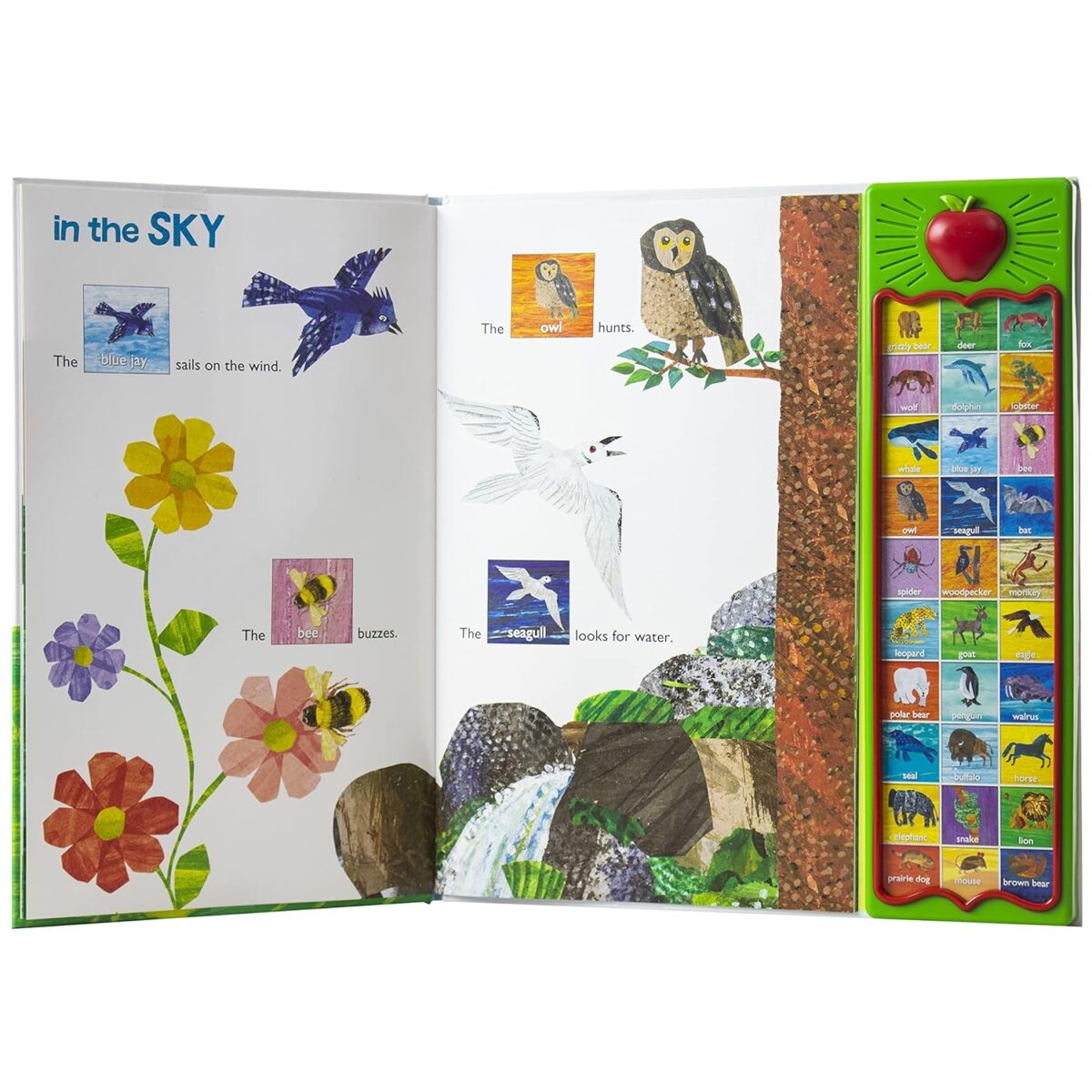 World of Eric Carle, Hear Bear Roar 30-Button Animal Sound Book - Great for First Words - PI Kids - Image 3