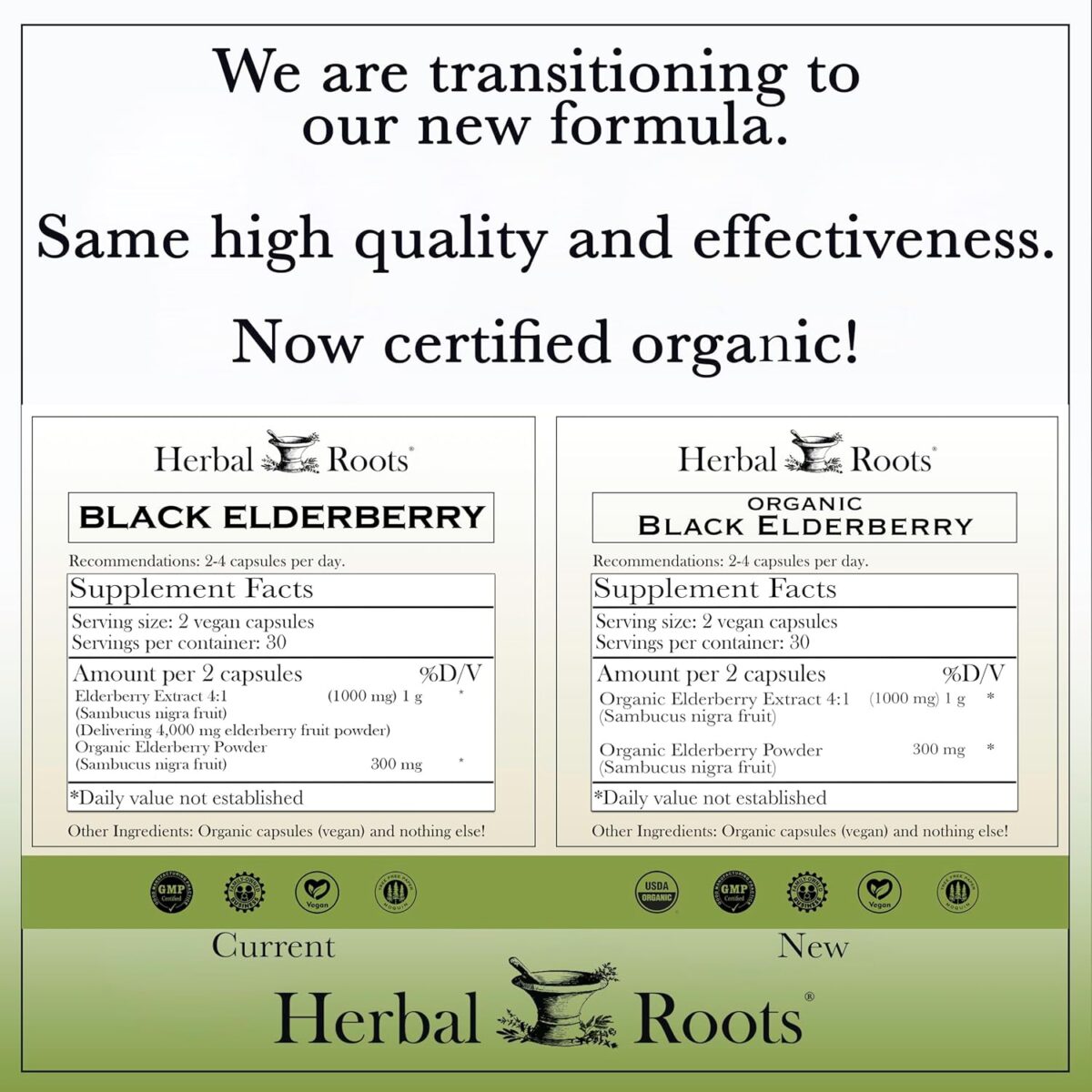 Herbal Roots Organic Black Elderberry Capsules | Max Strength | Made with Organic Sambucus | 60 Vegan Capsules - Image 2