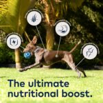 ZIWI Peak Air-Dried Dog Food – Beef - All Natural, High Protein, Grain Free, Limited Ingredient w/ Superfoods (16oz) - Image 6