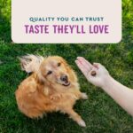 VetIQ Calming Support Supplement for Dogs, Calming Chews Help Manage Stress and Promote Relaxation, Anxiety Relief for Dogs, Made in The USA, 60 Count - Image 7