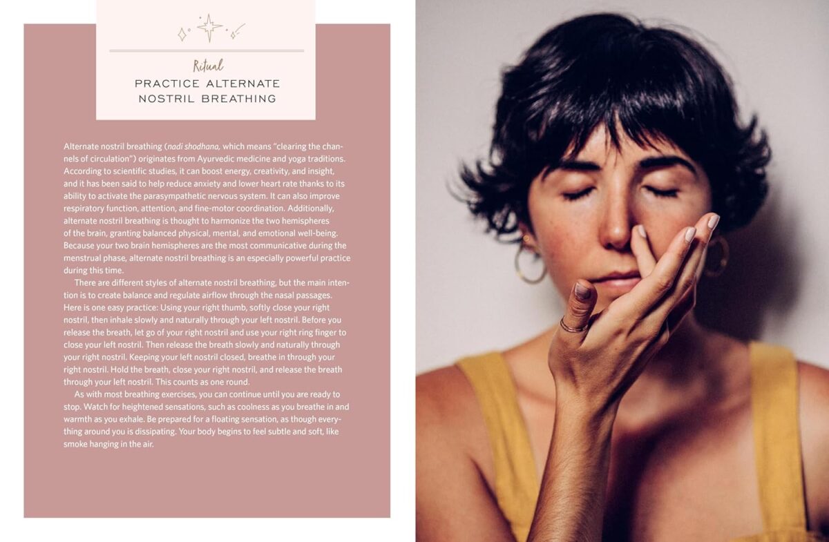 The Moon Cycle Cookbook: A Holistic Nutrition Guide for a Well-Balanced Menstrual Cycle - Image 4