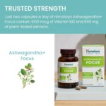 Himalaya Ashwagandha+ Focus with Ashwagandha, Bacopa, Rosemary & Green Tea for Memory, Focus and Clarity, 60 Capsules, 1 Month Supply, Vegan, Gluten Free - Image 6