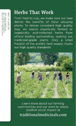 Traditional Medicinals Tea Lemon Balm Org ( 2 Pack) - Image 4