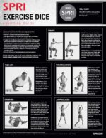 SPRI Exercise Dice (6-Sided) - Game for Group Fitness & Exercise Classes - Includes Push Ups, Squats, Lunges, Jumping Jacks, Crunches & Wildcard (Includes Carrying Bag) - Image 3
