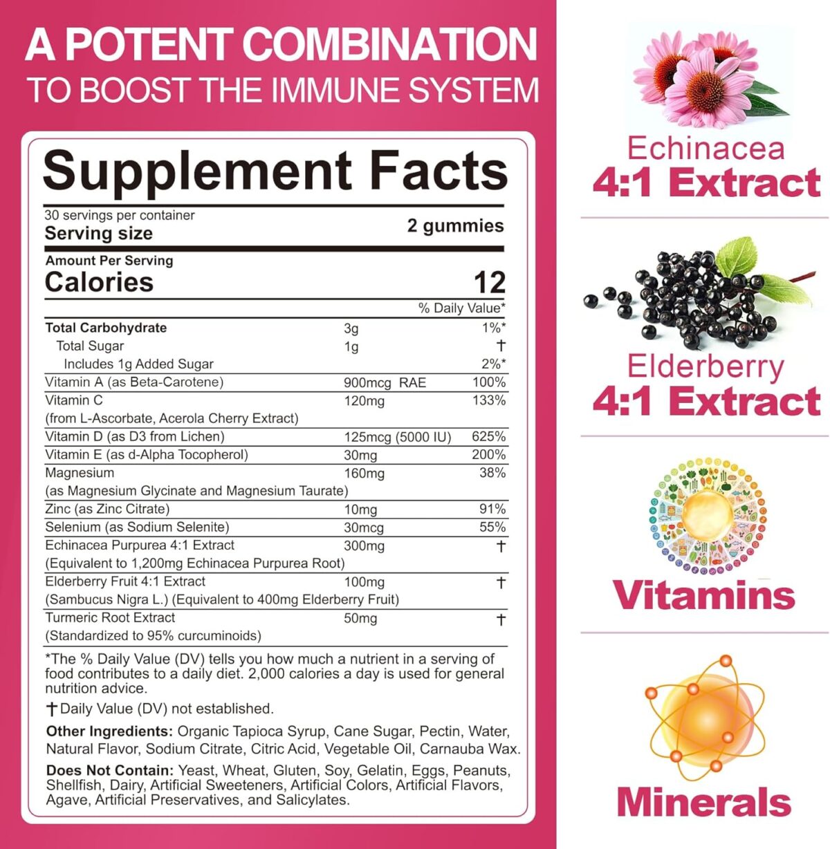 Immune Support Gummies with Echinacea, Sambucus Elderberry, Vitamin C + D3 + Zinc, Selenium, Magnesium, Daily Immunity Booster Multivitamin Gummies, for Boost Immunity, Power Antioxidant, Vegan 2 Pack - Image 2