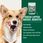 Anti-Inflammatory Green Lipped Mussel for Dogs Powder - Image 9