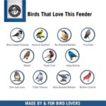 Droll Yankees Classic Sunflower or Mixed Seed Bird Feeder, Ring Pull Advantage, 6 Feeding Stations, 1 lb Bird Seed Capacity, 20-Inch - Image 7