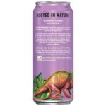 Yachak Yerba Mate Drink, Blackberry, 16 Fl Oz Cans, Pack of 12 - Image 2