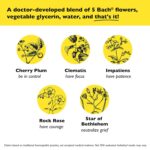 RESCUE Bach Remedy Dropper 10mL, Natural Stress Relief, Homeopathic Flower Essence, Vegan, Gluten & Sugar-Free, Non-Habit Forming (Non-Alcohol Formula) - Image 3