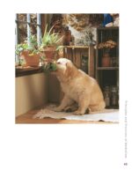 Herbs for Pets: The Natural Way to Enhance Your Pet's Life (CompanionHouse Books) A-Z Guide to Medicinal Plants, Holistic Recipes, and Nutritional Supplements for Dogs, Cats, Horses, Birds, and More - Image 3