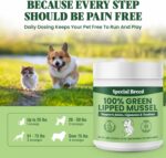 Green Lipped Mussel Powder for Dogs & Cats - 100% New Zealand Green Lipped Mussels - Natural Hip & Joint Supplement for Joints, Tendons, Ligaments, Muscles - 300 Grams - Up to 1,000 Servings - Image 5