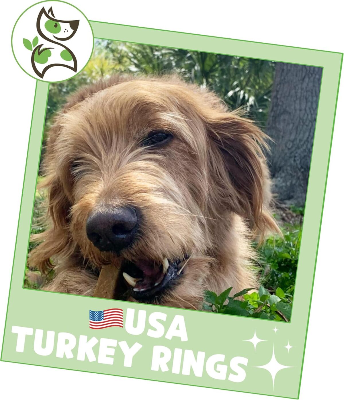 Nature Gnaws USA Turkey Tendon Rings for Dogs (8oz) - Delicious Grain Free Reward Snack for Small, Medium & Large Breeds - Premium Natural Dog Chew Treats - Image 6