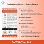 GoLive Prebiotic and Probiotic for Women, Men, Kids. Tangerine Turmeric Synbiotic Powder w/ L-Glutamine, Vitamin D3, Electrolytes. For Gut Health, Digestion, Metabolism, Immunity 15-50B CFUs. - Image 5