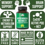 Mitochondria Maximizer with CoQ10 and Active PQQ. Best Mitochondrial Support Supplement with MCT Oil. Natural Cellular Generator for Clean, Focused Energy 60 Vegetarian Capsules - Image 3