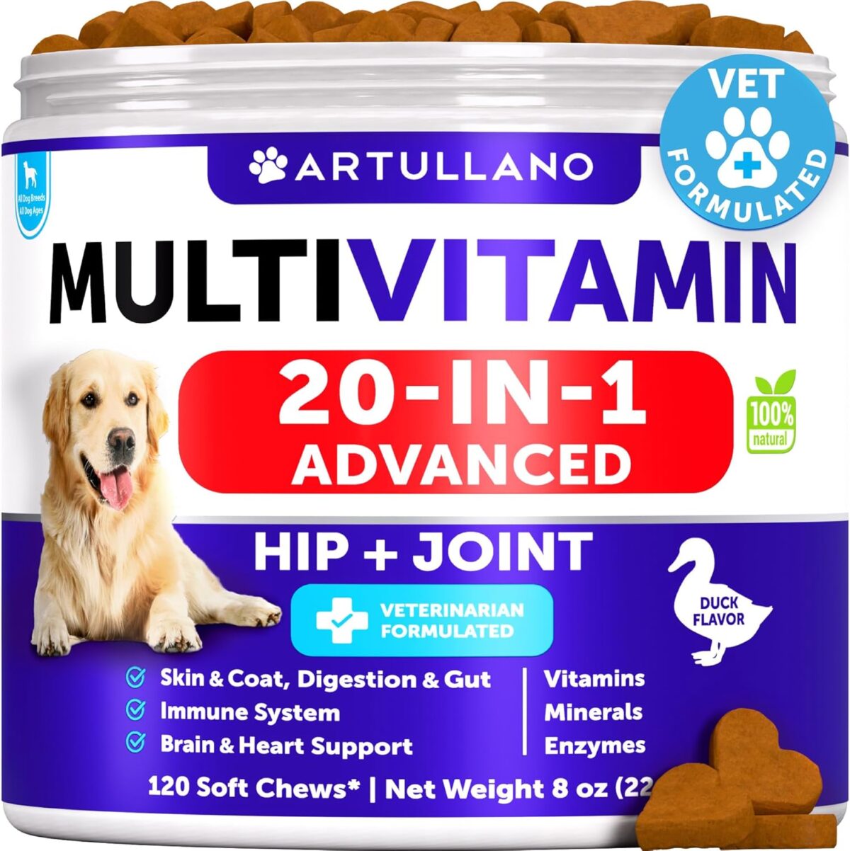 Dog Multivitamin Chewable with Glucosamine 20 in 1 - Dog Vitamins and Supplements - Senior & Puppy Multivitamin for Dogs - Pet Joint Support Health - Immunity, Mobility, Gut Skin - 120 Chews - Image 1