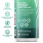 Yerbaé Energy Beverage - Variety Power Pack, 0 Sugar, 0 Calories, 0 Carbs. Yerbae is Energized by Yerba Mate, Plant-Based, Healthy Alternative to Sugary Energy Drinks, 16oz cans (12 Pack) - Image 3