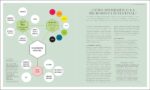 La ciencia de la nutrición (The Science of Nutrition): Conoce los falsos mitos de las dietas y aprende a comer bien para tener una vida (DK Science of) (Spanish Edition) - Image 3