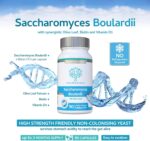 Saccharomyces Boulardii 5 Billion CFU 90 Capsules - No Refrigeration Required - High Strength Non-Colonising Yeast with synergistic Olive Leaf, Biotin and Vitamin D3 - Image 3