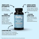 Mitochondrial Health | Longevity & Anti-Aging Supplement for Cellular Nutrition | Promotes Cell Metabolism & Energy | 30 Servings | Non-GMO & 3rd Party Tested - Image 3