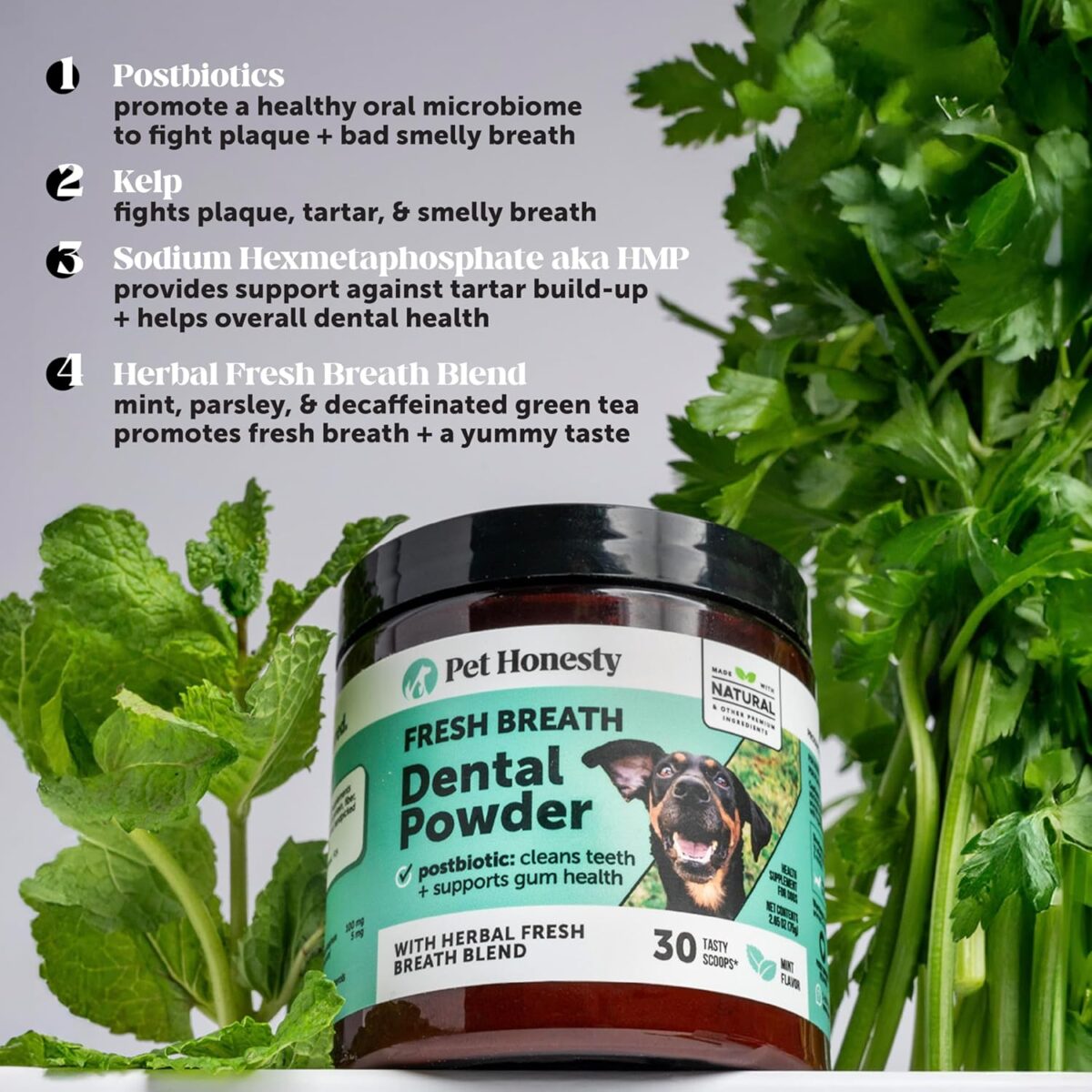 Pet Honesty Dog Breath Freshener Dental Powder for Teeth Cleaning Plaque Off, Dental Care for Dogs, Tartar Remover for Teeth with Natural Herbal Blend + Postbiotics (Mint - 30 Servings) - Image 3