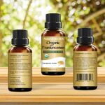 Natural Riches USDA Organic Frankincense Essential Oil - Boswellia Serrata, 100% Pure Natural Undiluted, Therapeutic Grade for Diffuser Aromatherapy Premium - 30 ml - Image 3