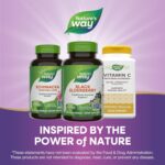 Nature's Way Black Elderberry Supplement, Traditional Immune Support*, With Elderberry and Elderflower, Plant Powered, 100 Capsules (Packaging May Vary) - Image 7
