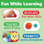 Creativity for Kids Pom Pom Pictures: Animals - Preschool Learning Activities, Sensory Toys for Toddlers, Toddler Arts and Crafts for Ages 3-5+ - Image 3