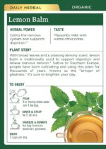 Traditional Medicinals Tea Lemon Balm Org ( 2 Pack) - Image 3