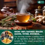 FreshDrinkUS StrongerLungs 20 Tea Bags - Mullein Leaf, Ginseng, Elderberry, Ginger & Thyme - Supports Lung Cleanse, Congestion Relief & Mucus Detox - Caffeine-Free & All-Natural - Image 3