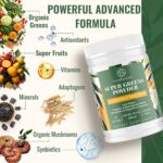 Super Greens Powder Superfood Supplement + Electrolytes & Tonic Herbs | Organic Greens, Adaptogens, Shilajit, Antioxidants, Prebiotic & Probiotic & Postbiotic | for Gut, Energy & Immune | 30 Servings - Image 3