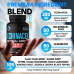 Immune Defense Support Suppement - All-in-1 11 Herbs Blend of Echinacea, Goldenseal, Elderberry, Camu, Ginger, Thyme, Chaga, Reishi, Burdock, Acerola - 5 Months Supply - 150 Capsules - Image 2