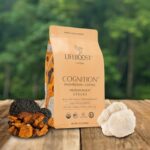 Lifeboost Cognition Adaptogenic Mushroom Coffee - Lions Mane & Chaga Nootropic Coffee - Great Tasting Medium Organic Coffee - Increase Energy, Boost Focus & Immune Support - 12 oz Bag - Ground - Image 8