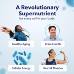 TRU NIAGEN Patented NAD+ Supplement for Anti Aging and Cell Regeneration, 300 mg Niagen, 90 Servings | Supports Cellular Energy, Brain, Muscle | Nicotinamide Riboside (NR) Take 1 Daily | 1 Bottle - Image 4