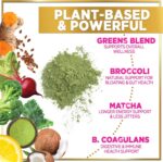 Greens Superfood Powder, Organic Spirulina & Chlorella Greens with Prebiotics & Probiotics, Gut Health & Bloating Support for Women, Green Drink Powder for Digestive & Energy Support - 28 Servings - Image 6
