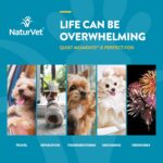 NaturVet Quiet Moments Calming Aid Dog Supplement – Helps Promote Relaxation, Reduce Stress, Storm Anxiety, Motion Sickness for Dogs – Tasty Pet Soft Chews with Melatonin – 65 Ct. - Image 4