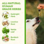 Animal Essentials Seasonal Allergy- Herbal Formula for Dogs & Cats for Occasional Allergy Relief, Sweet Taste, 100% Organic Human Grade Herbs, Veterinarian Recommended Animal Wellness Tonics - 1 Fl Oz - Image 4