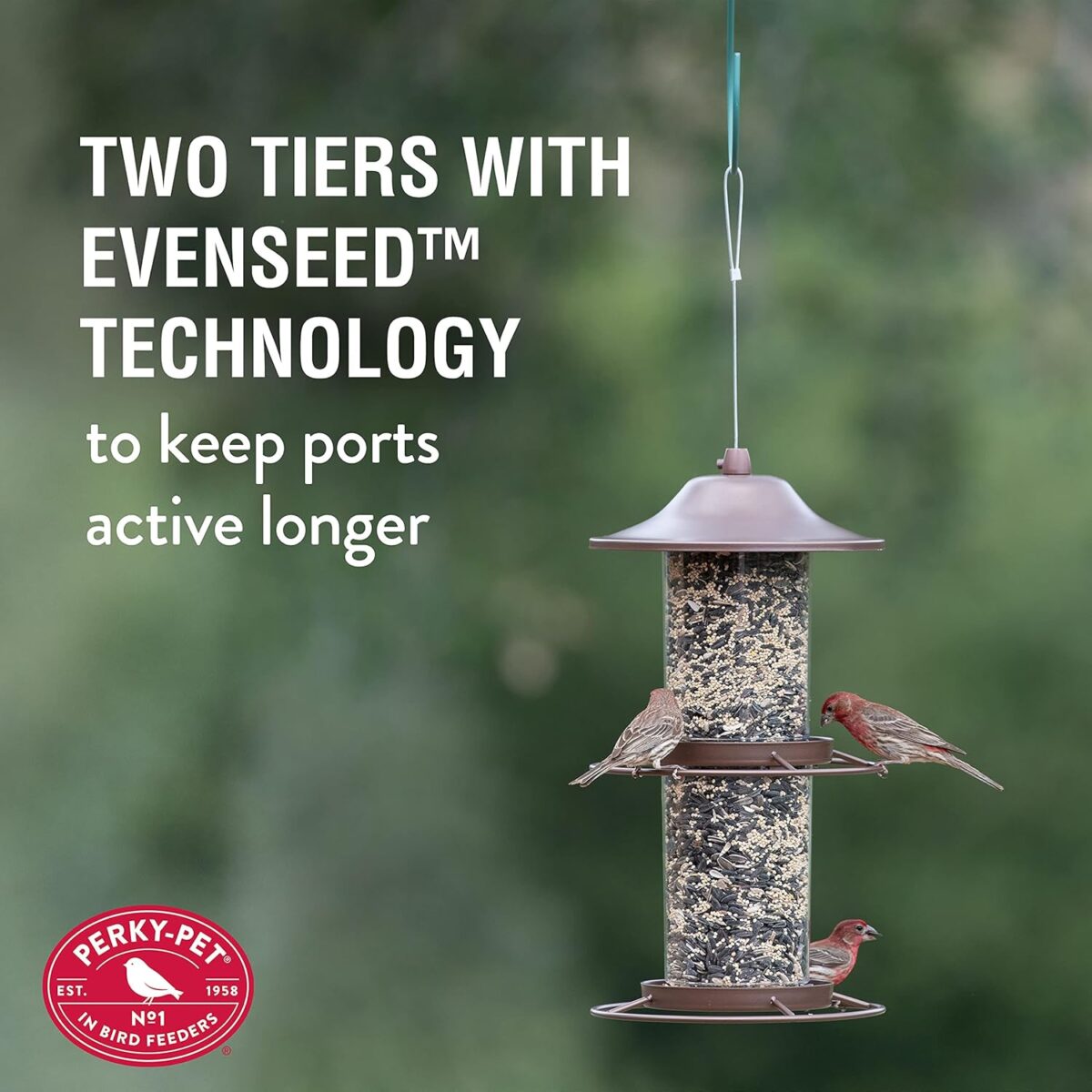 Perky-Pet 325SCOMBO-1SR Large 2-Tier Outdoor Panorama Wild Bird Feeder with Hanging Hook - 4.5 lb Seed Capacity - Image 4