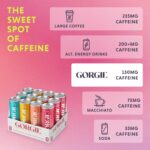 GORGIE Bestsellers Variety, Sugar-Free Natural Energy Drink Sparkling, Healthy Energy Drinks - Green Tea, Biotin, B Vitamins -150mg Caffeine, Vegan, & Low Calorie (Pack of 12) - Image 5