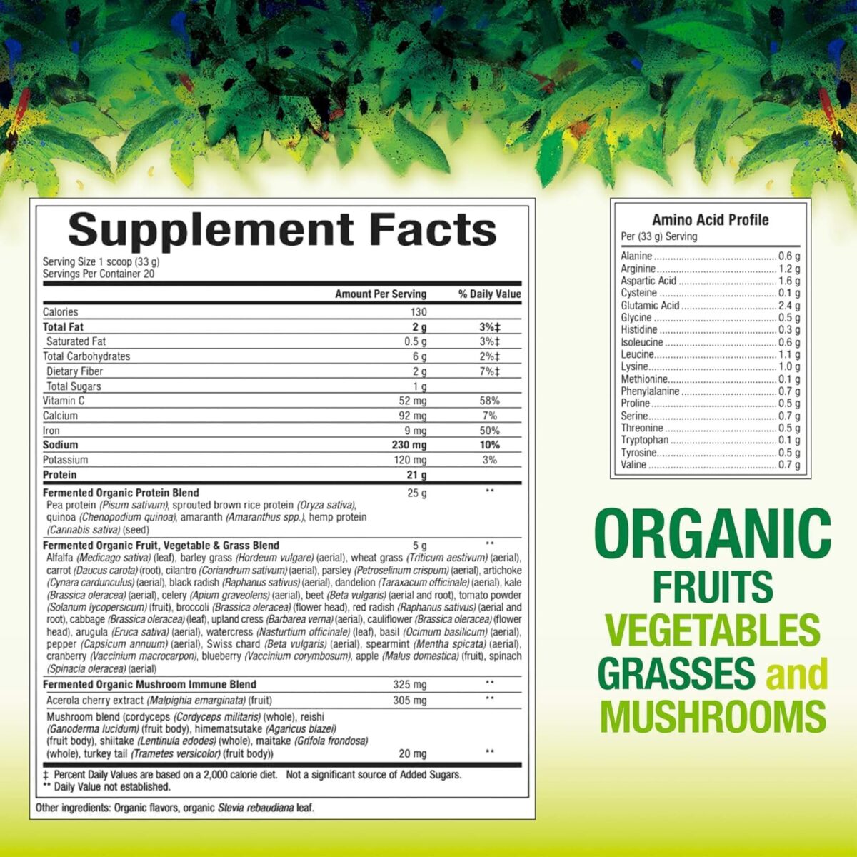 Whole Earth & Sea from Natural Factors, Organic Fermented Protein & Greens, Vegan Whole Food Supplement, Tropical, 1lb 7.3 Oz - Image 2