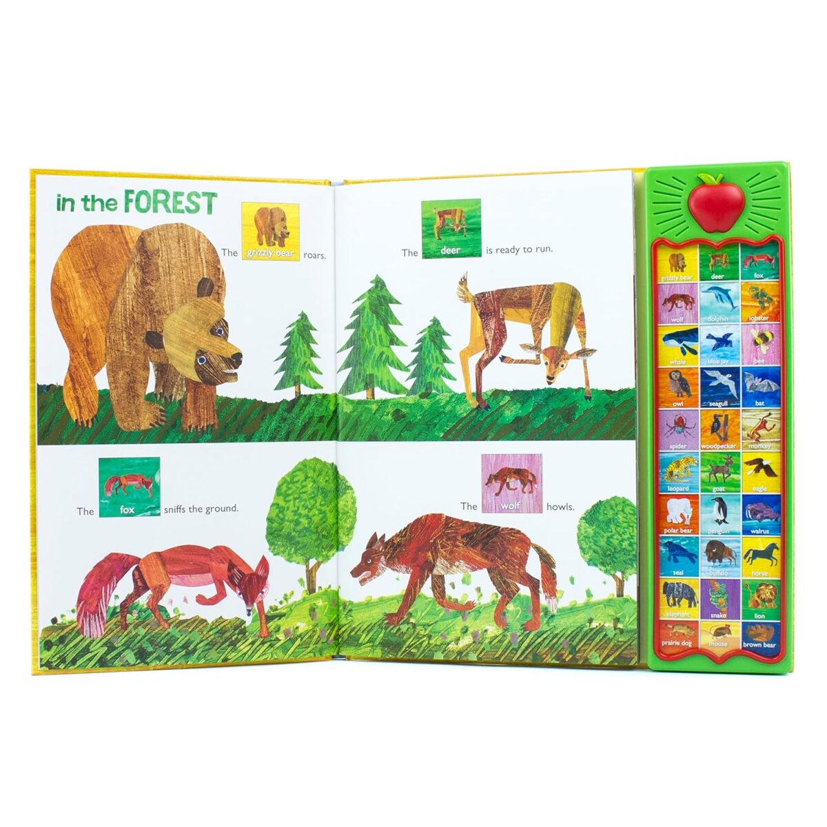 World of Eric Carle, Hear Bear Roar 30-Button Animal Sound Book - Great for First Words - PI Kids - Image 7