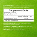 DEAL SUPPLEMENT Ginkgo Biloba 500mg Per Serving, 240 Capsules, 4 Month Supply – Grown in Northern Asia – Extra Strength, Promotes Brain Function - Image 2