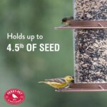 Perky-Pet 325SCOMBO-1SR Large 2-Tier Outdoor Panorama Wild Bird Feeder with Hanging Hook - 4.5 lb Seed Capacity - Image 8