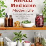 Herbal Medicine for Modern Life: Traditional Folk Remedies for Everyday Health and Well-Being