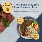 ZIWI Peak Air-Dried Dog Food – Beef - All Natural, High Protein, Grain Free, Limited Ingredient w/ Superfoods (16oz) - Image 3