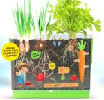 Root Viewer Kit for Kids - Easter Gifts - Grow Your Own Plant for Boys & Girls - Science STEM Toy & Craft Growing Kits for Ages 4-8 Birthday Gifts for Boy, Girl 4, 5, 6, 7, 8, Year Old - Gardening Toy - Image 9