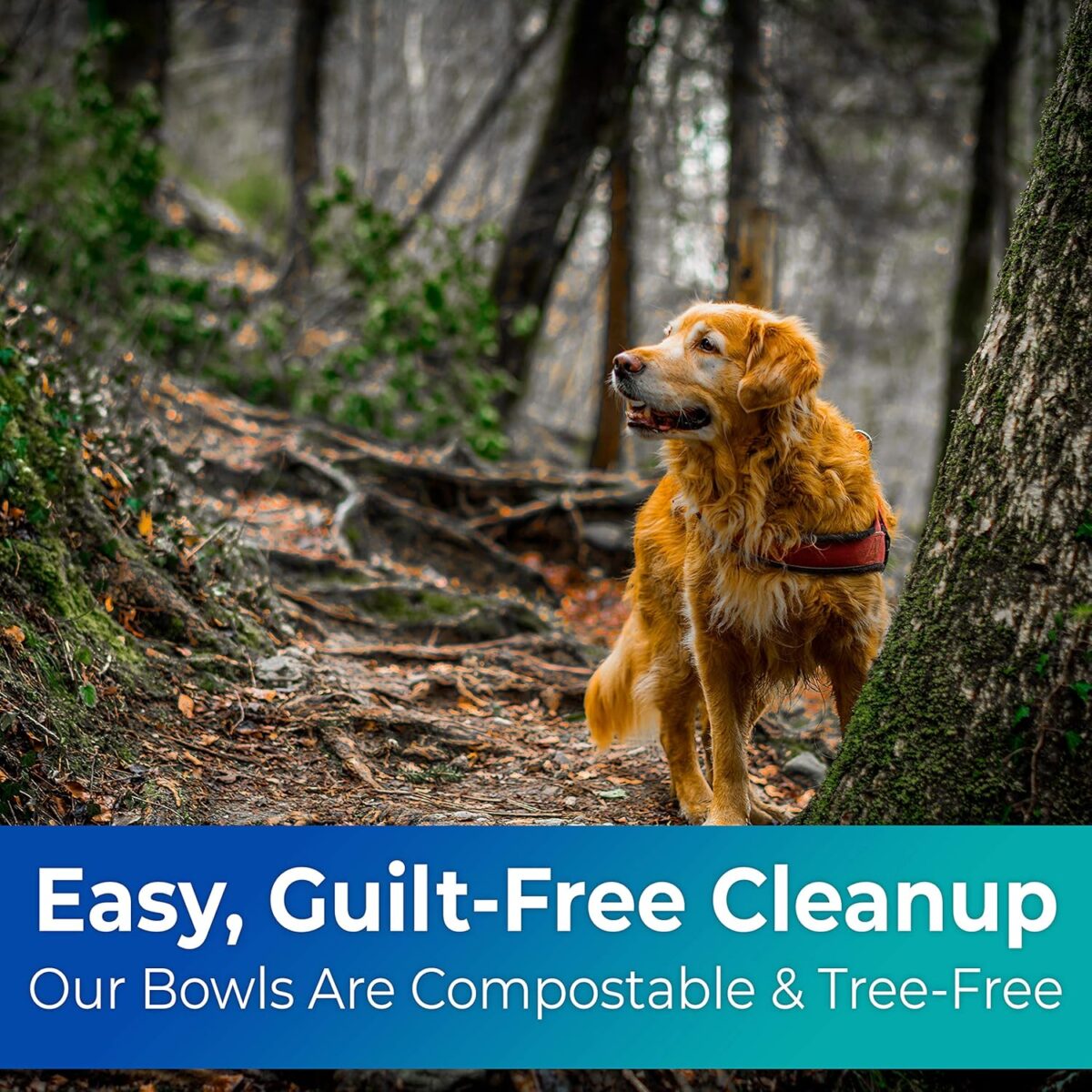 Vet-Grade Biodegradable Disposable Pet Bowls Bulk 100 Pk 8 Oz/1 Cup. Non-Toxic Food and Water Dishes for Puppies, Small Dogs or Cats. Sturdy and Leakproof for Healthy Pets! (tan Kraft) - Image 5