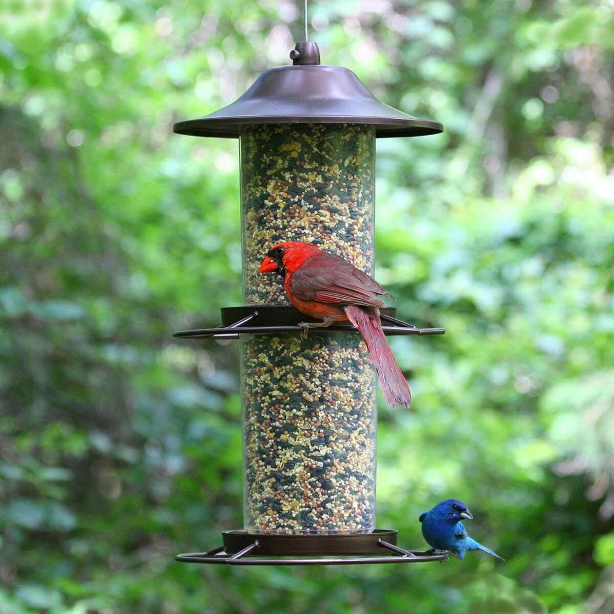 Perky-Pet 325SCOMBO-1SR Large 2-Tier Outdoor Panorama Wild Bird Feeder with Hanging Hook - 4.5 lb Seed Capacity - Image 2