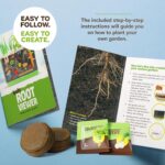 Root Viewer Kit for Kids - Easter Gifts - Grow Your Own Plant for Boys & Girls - Science STEM Toy & Craft Growing Kits for Ages 4-8 Birthday Gifts for Boy, Girl 4, 5, 6, 7, 8, Year Old - Gardening Toy - Image 7