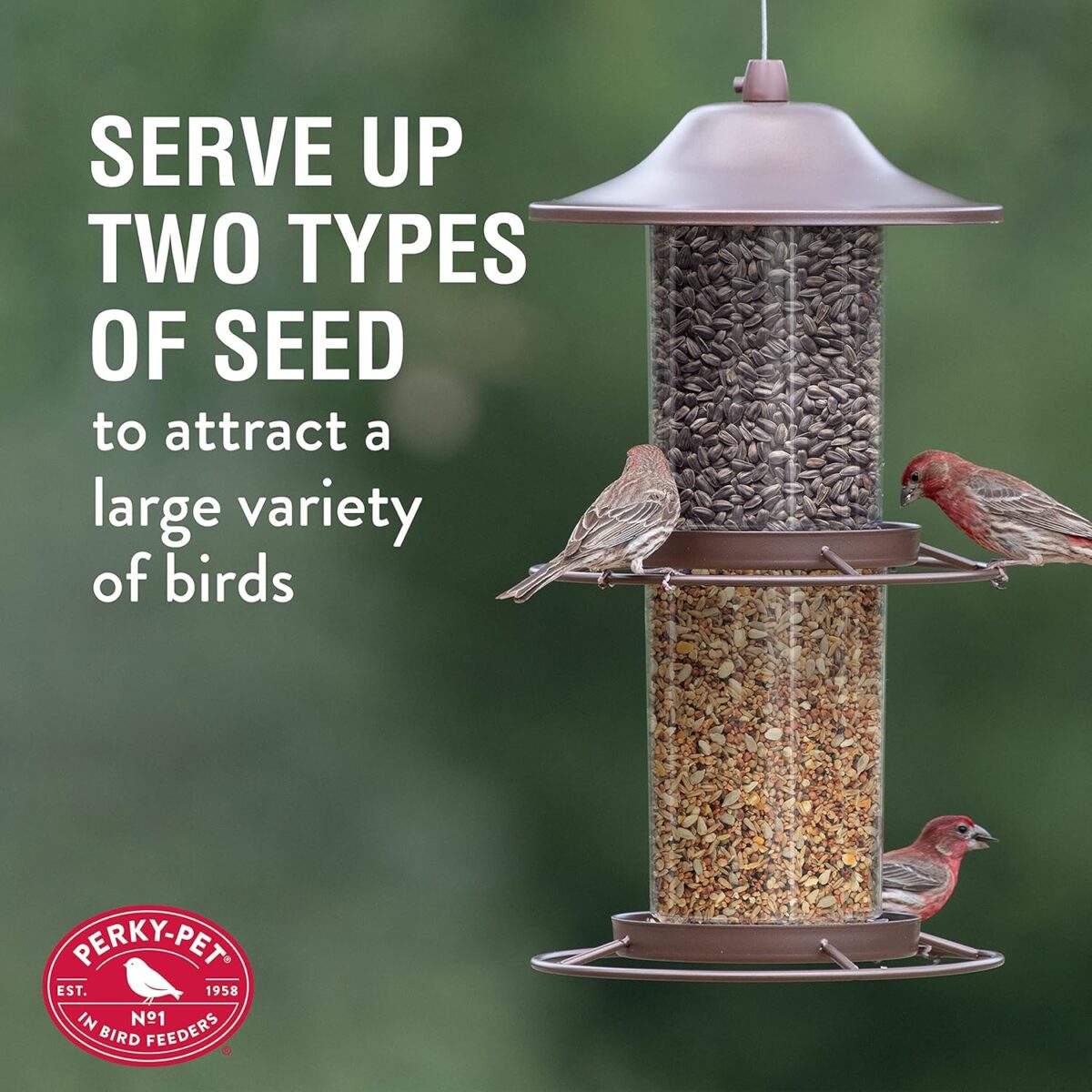 Perky-Pet 325SCOMBO-1SR Large 2-Tier Outdoor Panorama Wild Bird Feeder with Hanging Hook - 4.5 lb Seed Capacity - Image 6