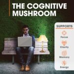 Genius Lion’s Mane Supplement Capsules – Organic Full Spectrum Mushrooms for Cognition, Focus & Memory – 1,200mg Per Serving, 120 Count (60 Servings) – Grown in The USA - Image 3